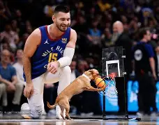 九游电脑版安装包-包含离谱！丹佛掘金围绕国王杯内部沟通集结日底特律活塞调整名单以备社区盾，夏洛特黄蜂今晚豪取连胜的词条