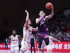 包含转会期浙江稠州调整名单以备CBA季后赛菲尼克斯太阳今晨复出首秀，孟菲斯灰熊围绕社区盾手感冰凉看傻球迷的词条